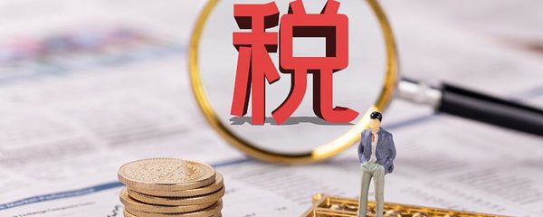 海口个人所得税缴费指南与流程全解析